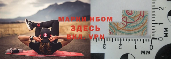 стафф Алзамай