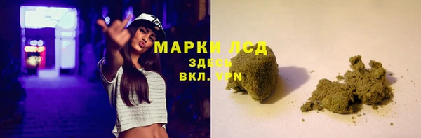 стафф Алзамай