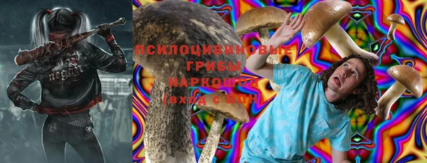 стафф Алзамай