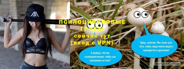 стафф Алзамай