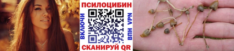 Псилоцибиновые грибы прущие грибы  Алексин 