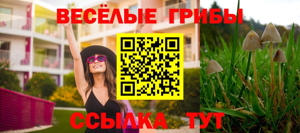 Псилоцибиновые грибы Cubensis Алексин