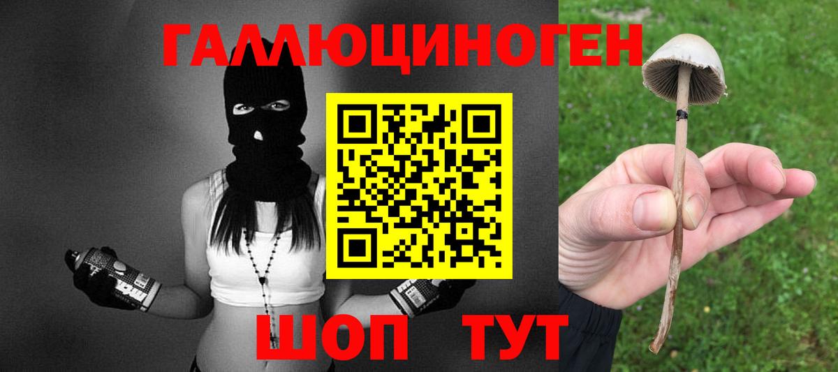 Алексин  Псилоцибиновые грибы MAGIC MUSHROOMS  Галлюциногенные грибы GOLDEN TEACHER  Вход с VPN 