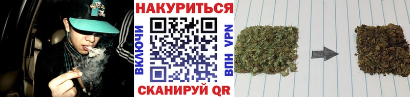 Каннабис SATIVA & INDICA  наркотики  Алексин 